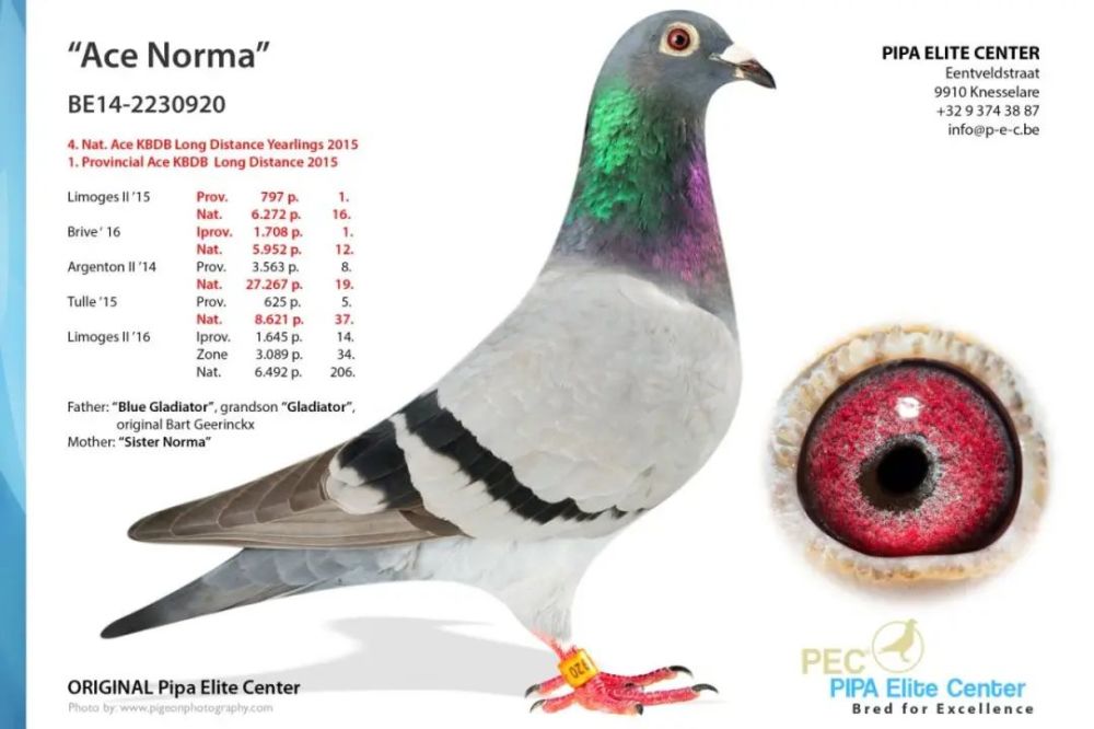  德甲全明星赛名单出炉，拜仁七将强势入围  